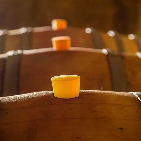 Appartamento Mas Du Notaire *