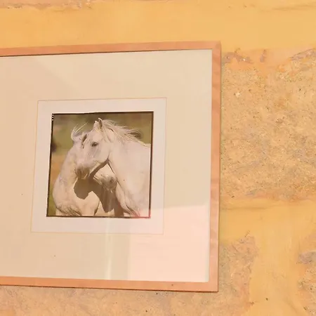 Mas Du Notaire Appartamento Gallician