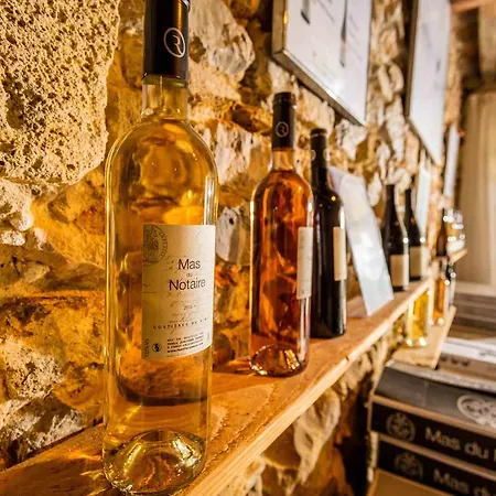 Mas Du Notaire Appartement Gallician