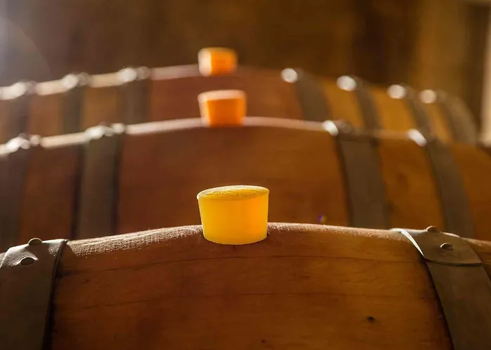 Apartman Mas Du Notaire *