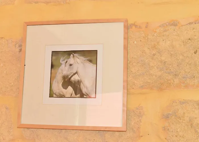 Mas Du Notaire Apartman Gallician